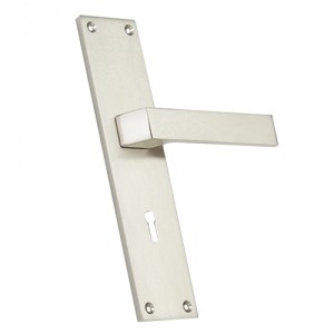 "Irpeel" Zinc Handle with Back Plate